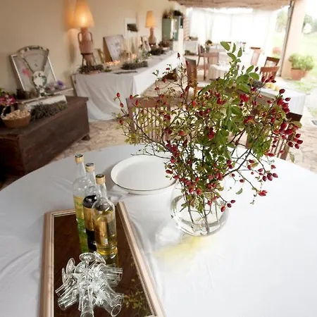 Boutique Stancija 1904 Adults Only דירה Svetvinčenat