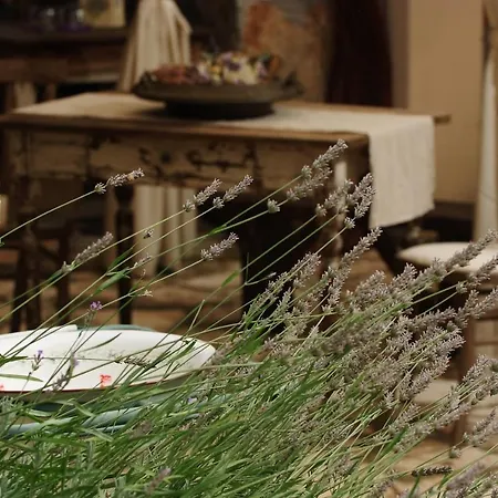 Boutique B&B Stancija 1904 Adults Only *