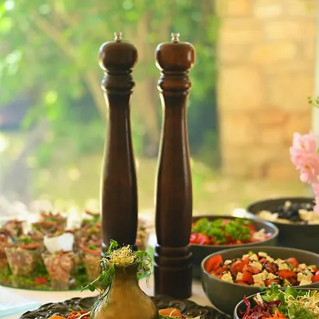Boutique B&B Stancija 1904 Adults Only Apartment Svetvincenat