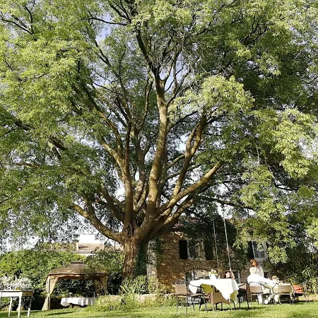 Boutique B&B Stancija 1904 Adults Only *